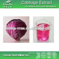 China Manufacturer Natural Food Color Red Cabbage Color